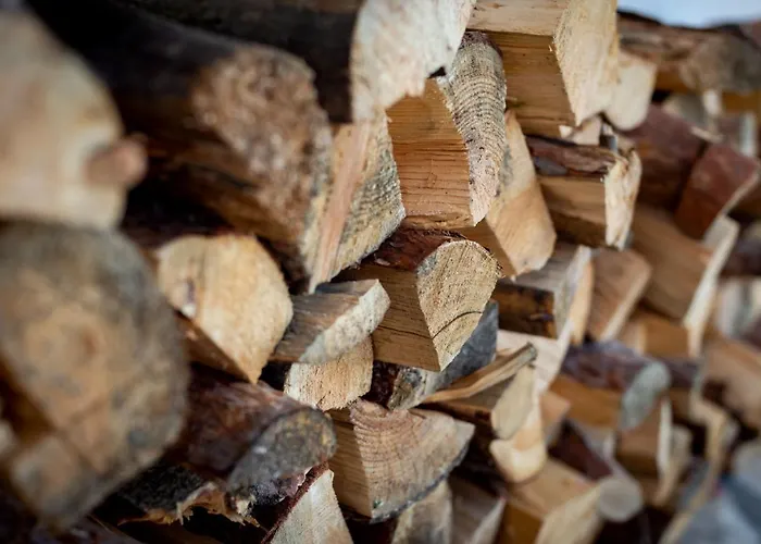 маринови * Boykovo