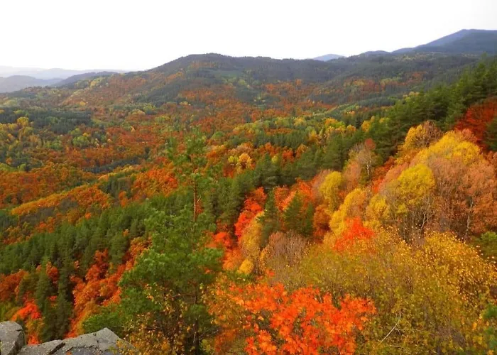 маринови 别墅 *