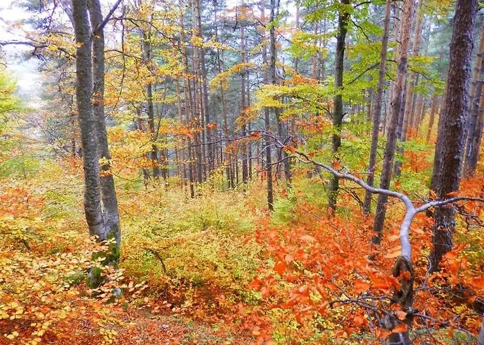 маринови 别墅 *